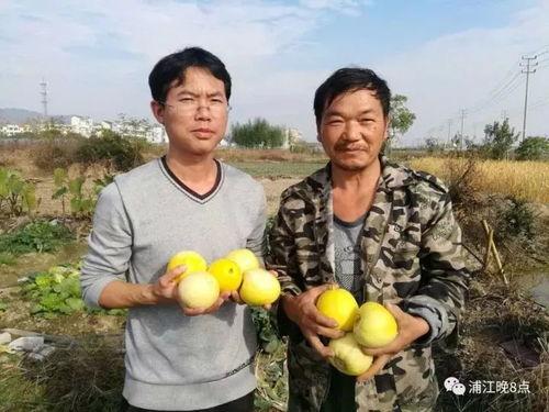 吃瓜群众9258,网络热议背后的真相