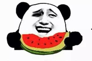 如此吃瓜群众,吃瓜群众视角下的娱乐圈风云录