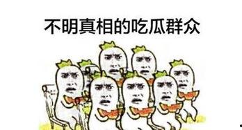 不同的吃瓜群众,揭秘娱乐圈的喜怒哀乐