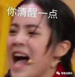 又是吃瓜群众的一天下一句,娱乐至上的狂欢与反思