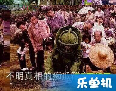 低端吃瓜群众是什么意思,网络流行语背后的社会现象