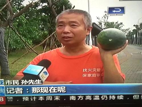 稠城吃瓜群众事件,一场网络舆论的风暴与反思