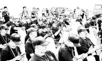 鹿城吃瓜群众事件始末最新消息,真相追踪与舆论风暴全解析