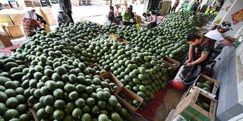 吃瓜群众标题标语,揭秘“吃瓜群众”背后的社会现象与心理解读