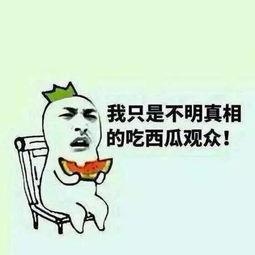 吃瓜群众怎么办啊,巧妙应对网络舆论的实用指南