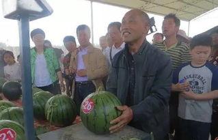 仙居吃瓜群众事迹简介,见证时代变迁的民间观察者