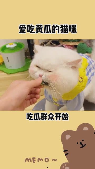 开始担心吃瓜群众怎么办,策略与建议