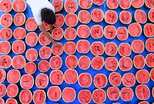 吃瓜群众拼个球的拼法,吃瓜群众拼个球的趣味拼法揭秘